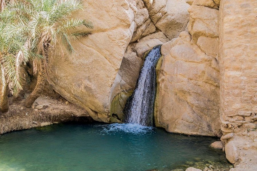 The Desert Oasis & Hot Water Spring Excursion image