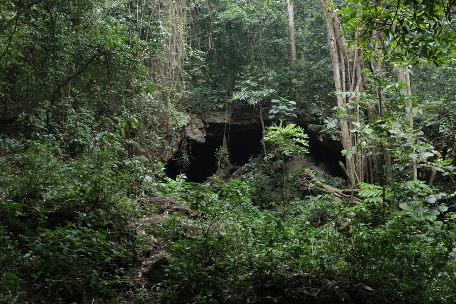 Maramagambo Forest image