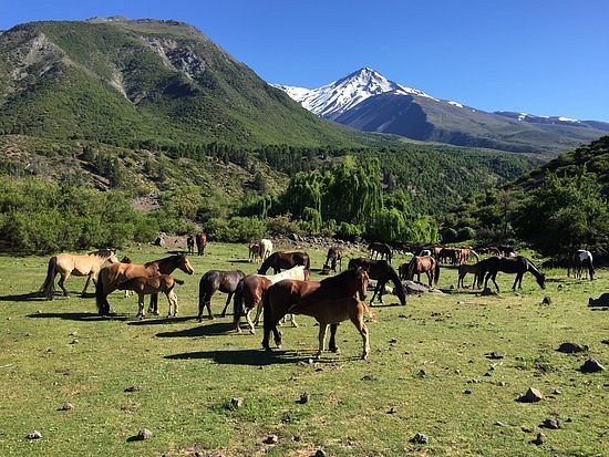 Chile Horse Riding image