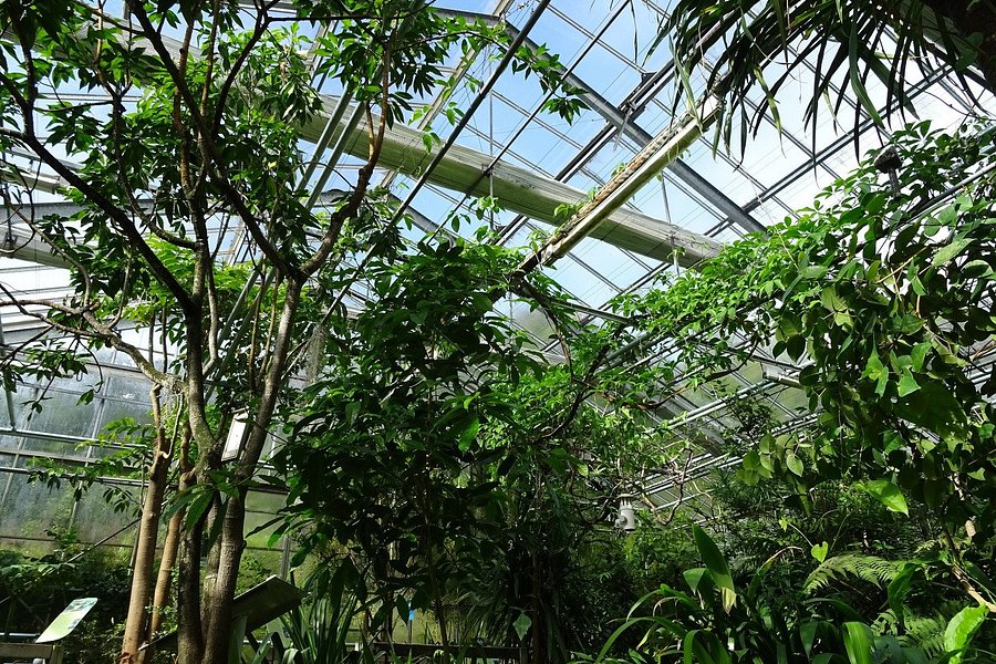 Jardin du Conservatoire Botanique National de Brest image