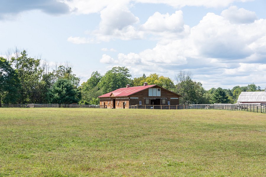 Woodstock Farm Sanctuary image