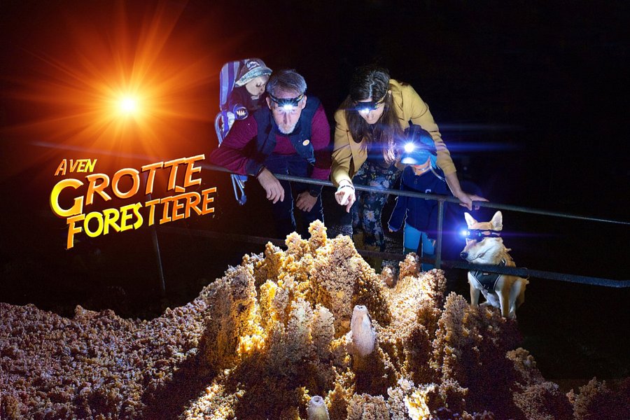 Aven Grotte Forestiere image