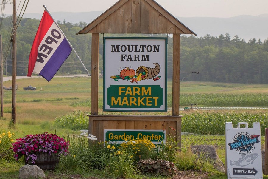 Moulton Farm image