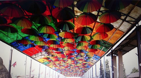Umbrella Street image