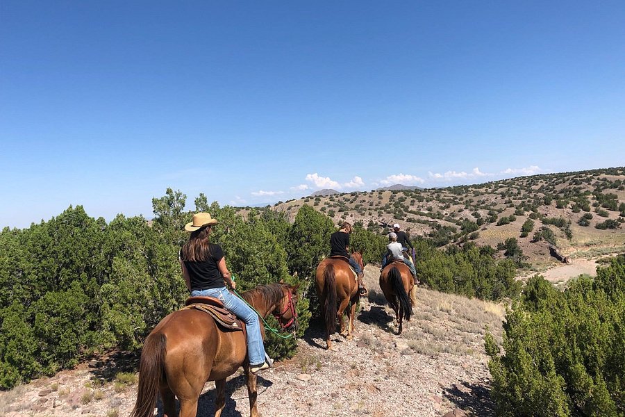 Galisteo Creek Stables Trail Riding image