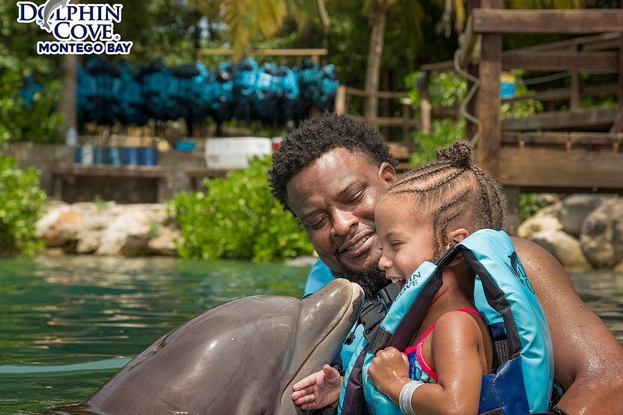 Dolphin Cove Montego Bay image