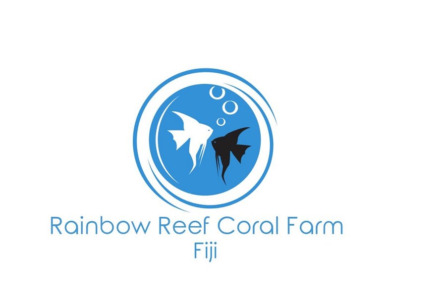 Rainbow Reef Coral Farm image