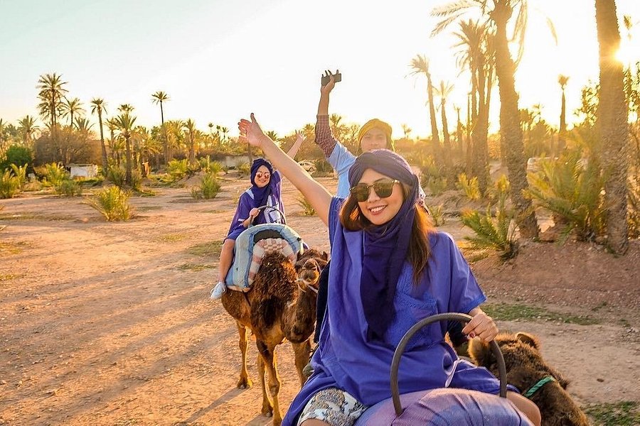 Sunset Camel Ride In The Marrakech Palm Grove image