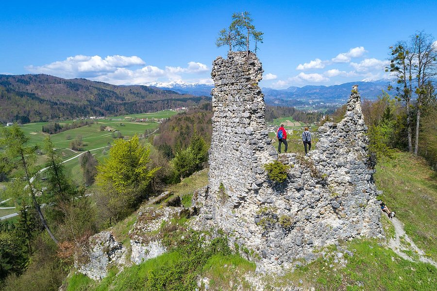 Lipnica Castle image