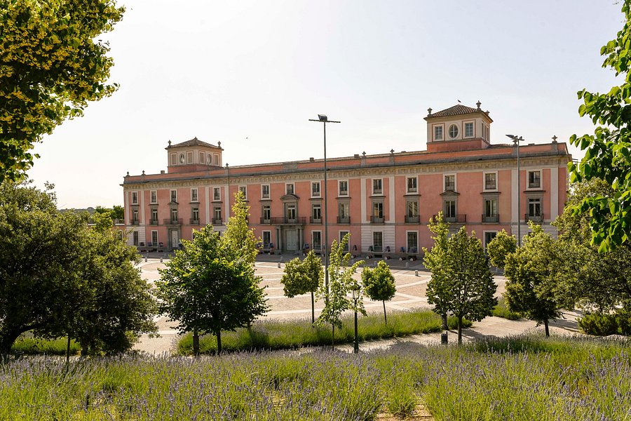 Concejalía de Turismo. Ayuntamiento de Boadilla del Monte image