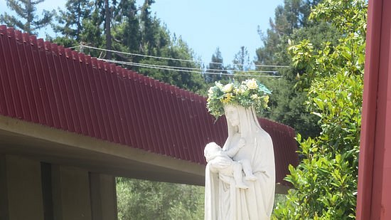 Sacred Heart Parish And School image