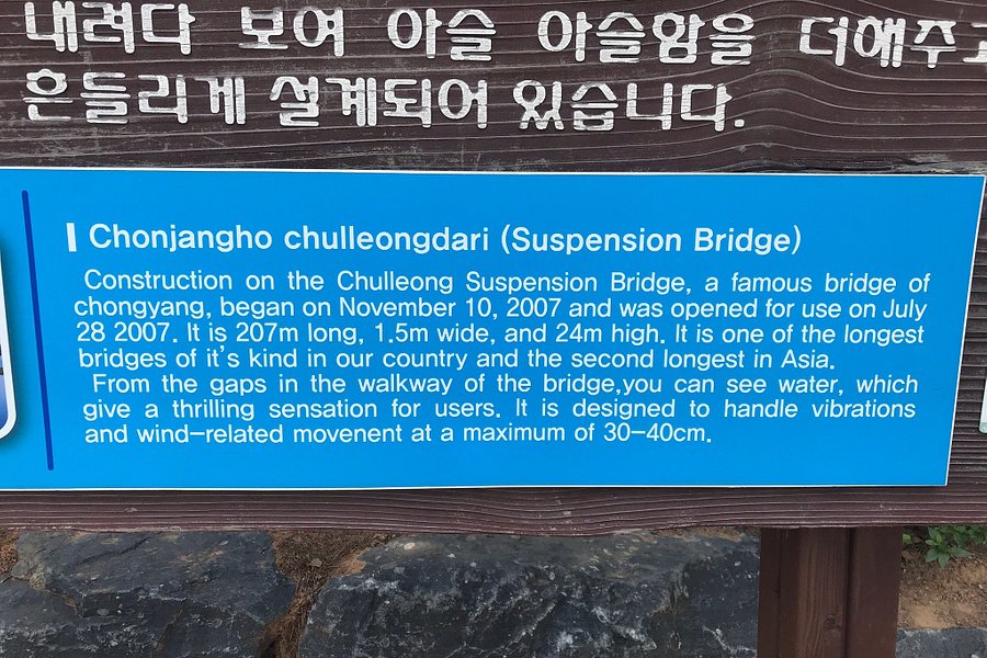 Cheonjang Lake Suspension Bridge image