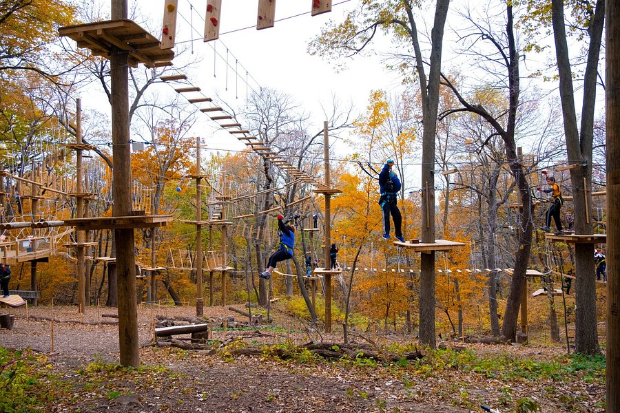 TreeRush Adventures at Fontenelle Forest image