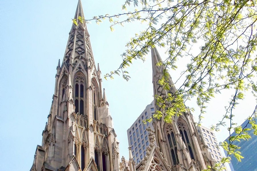 St Patricks Cathedral Official Tour image