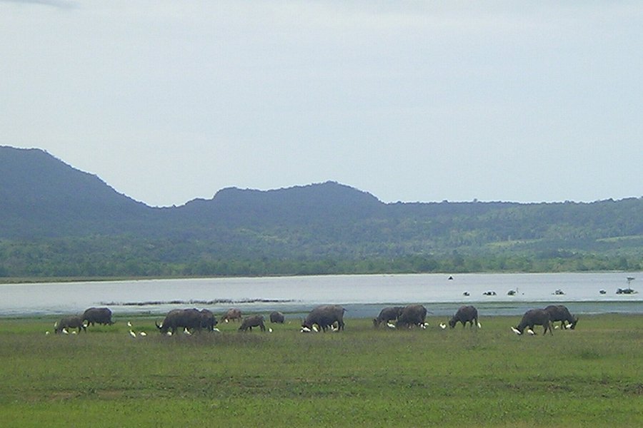 Nino Konis Santana National Park image