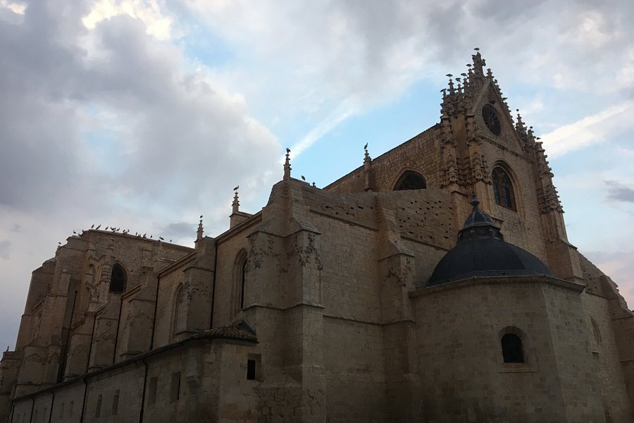 Catedral de Palencia image