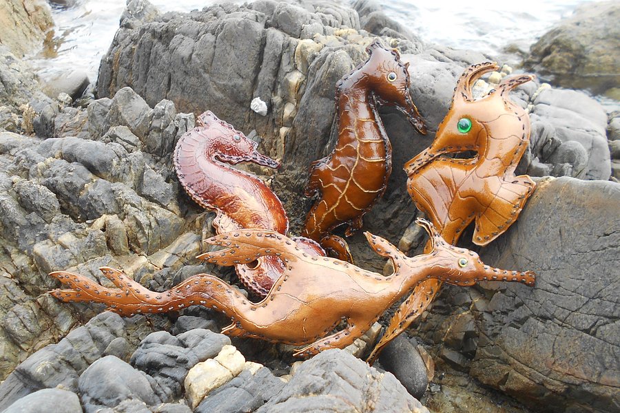 King Island Kelp Craft image