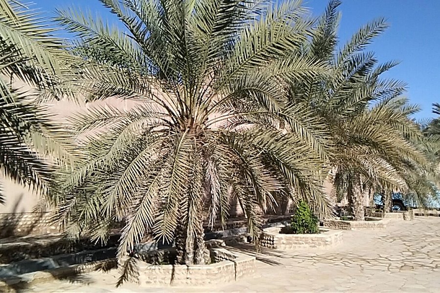 Bait Al Ghasham Museum image