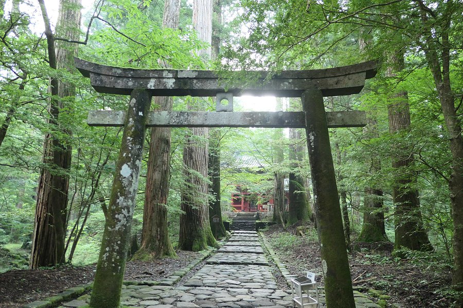 Takinoo Shrine image