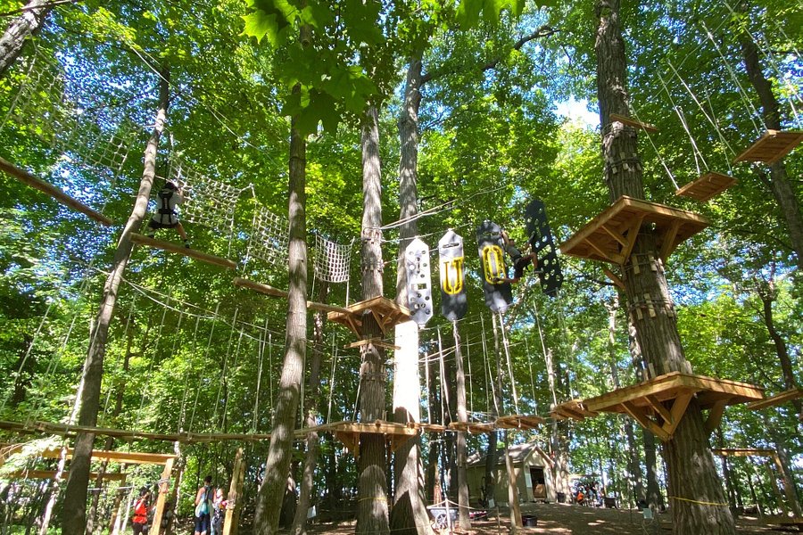 Treerunner Adventure Park image