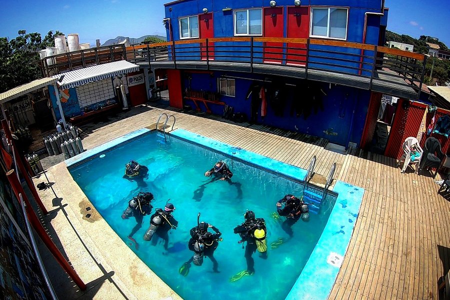 Buceo Pichidangui Dive Center image