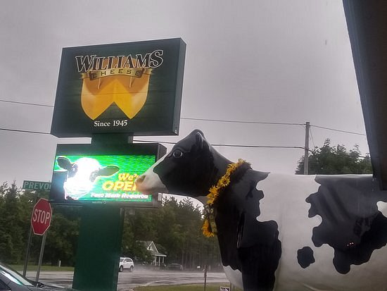 Williams Cheese Factory Outlet image