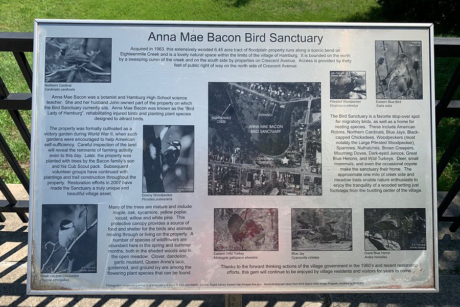 Anna Mae Bacon Bird Sanctuary image