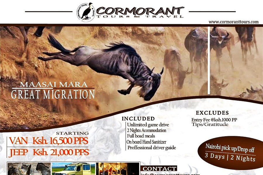 Cormorant Tours & Travel image