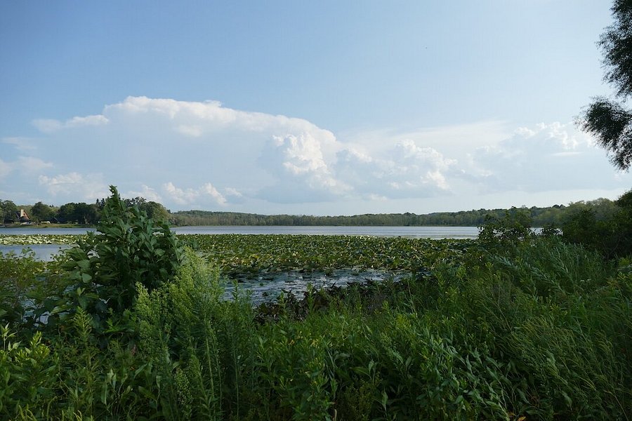 Bass Lake Preserve image