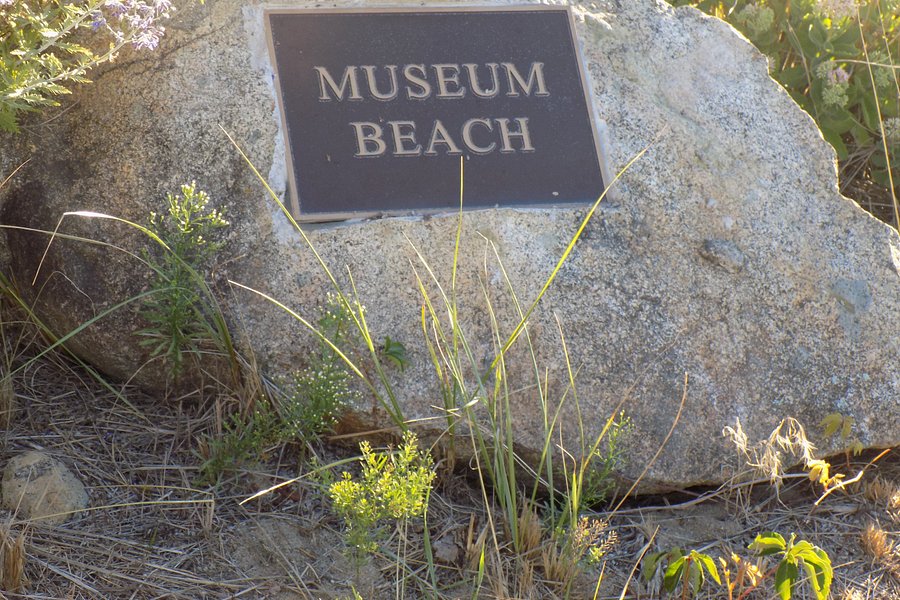 Museum Beach image