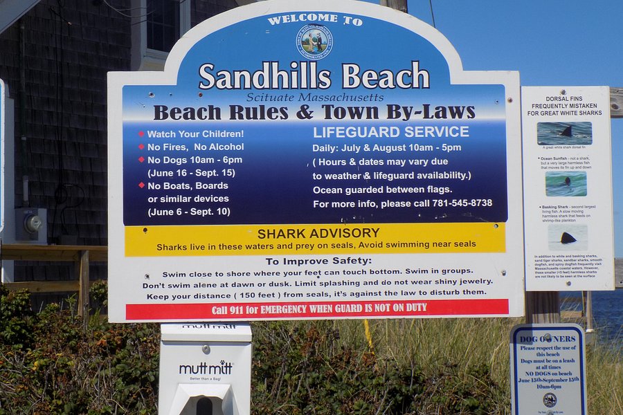 Sand Hills Beach image