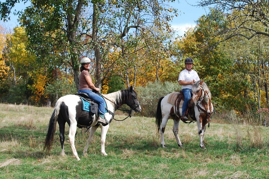Bedford County Horseplay. LLC image