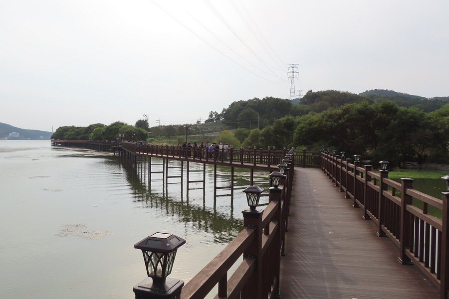 Tapjeongho lake image