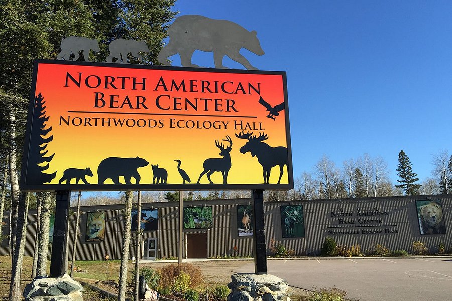 North American Bear Center image