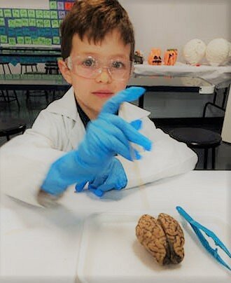 Little Beakers Science Lab for Kids at Cypress image