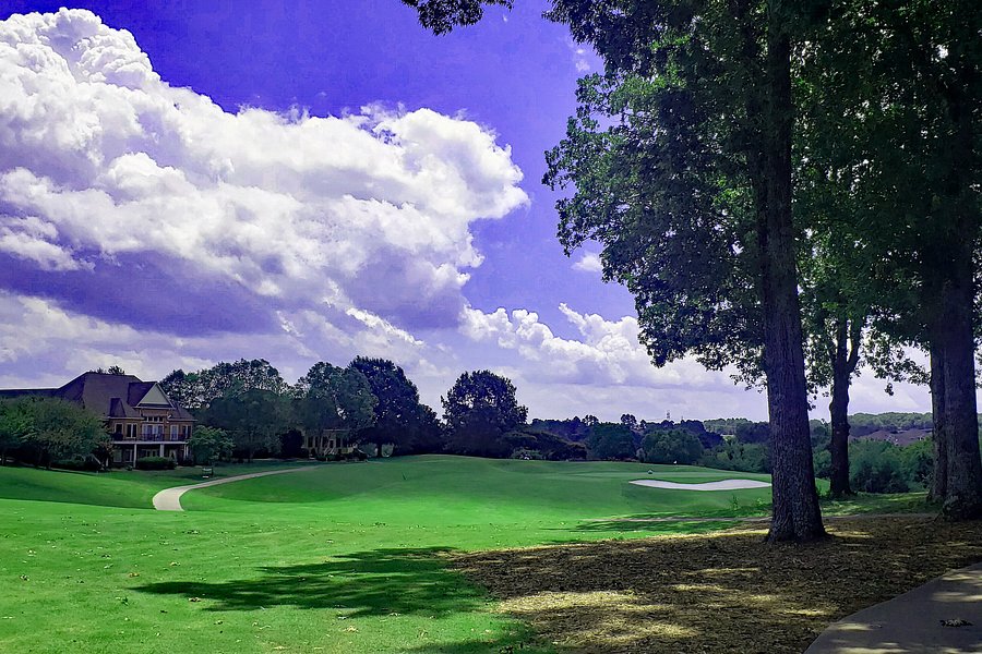 Tanasi Golf Course image