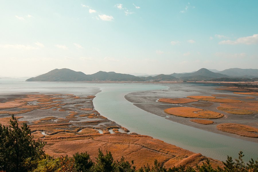 Suncheon Bay Wetland Reserve image