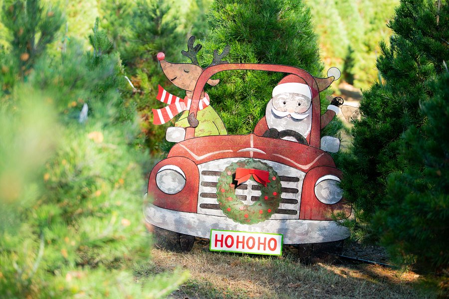 Owasso Christmas Tree And Berry Farm image