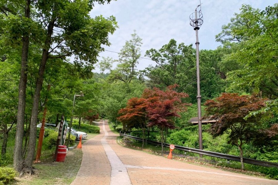 Songjeong Recreational Forest image