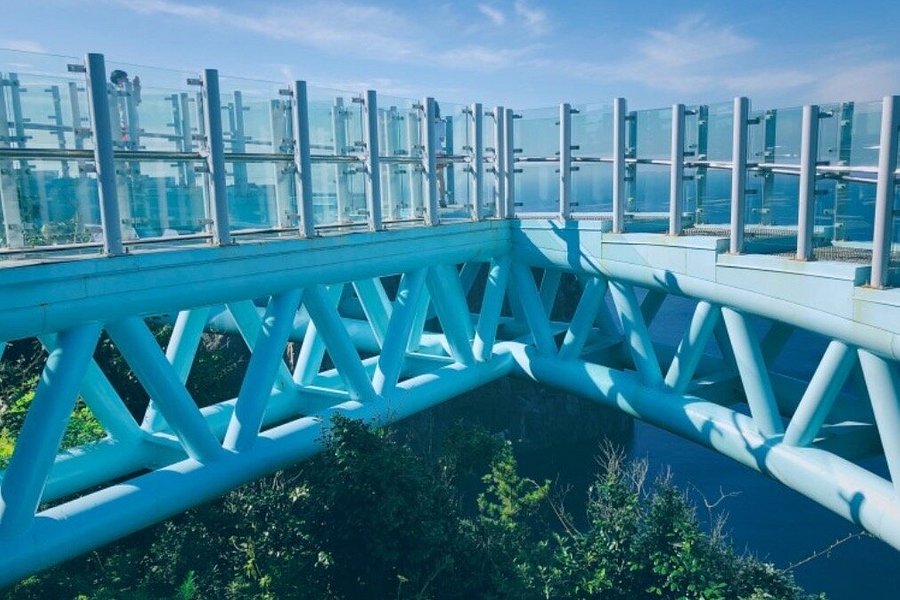Taehahyangmok Tourist Monorail image