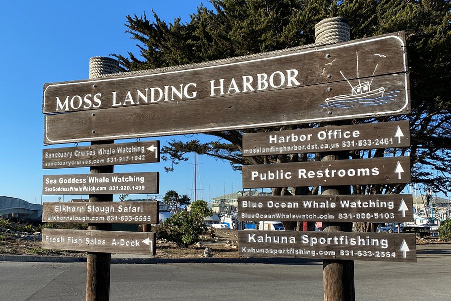Moss Landing Harbor image