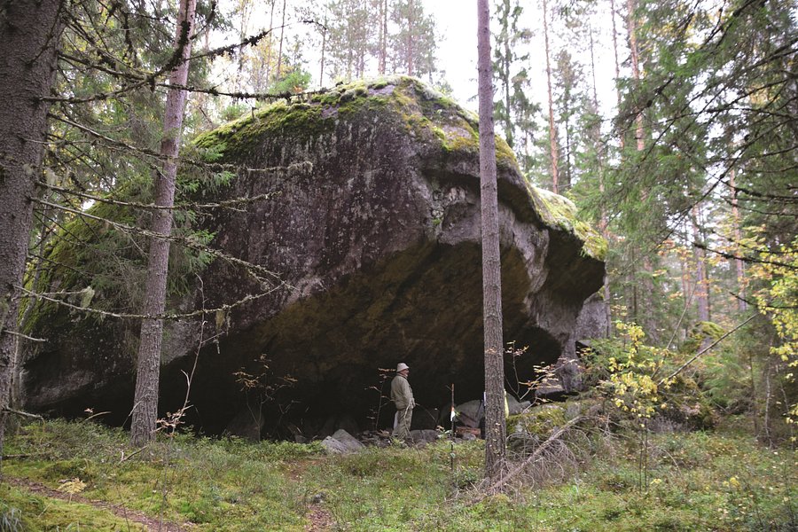 Saimaa Geopark Vilkaharju Esker Terrain image