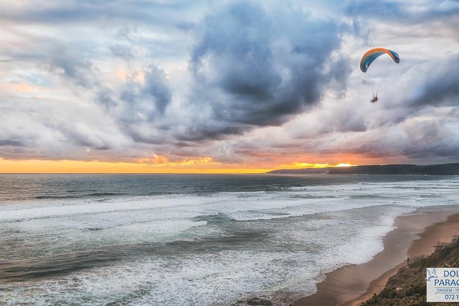Dolphin Paragliding image