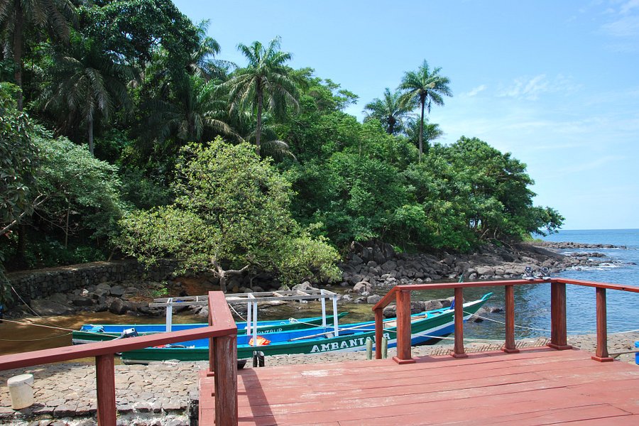 Tropical Island Adventure image