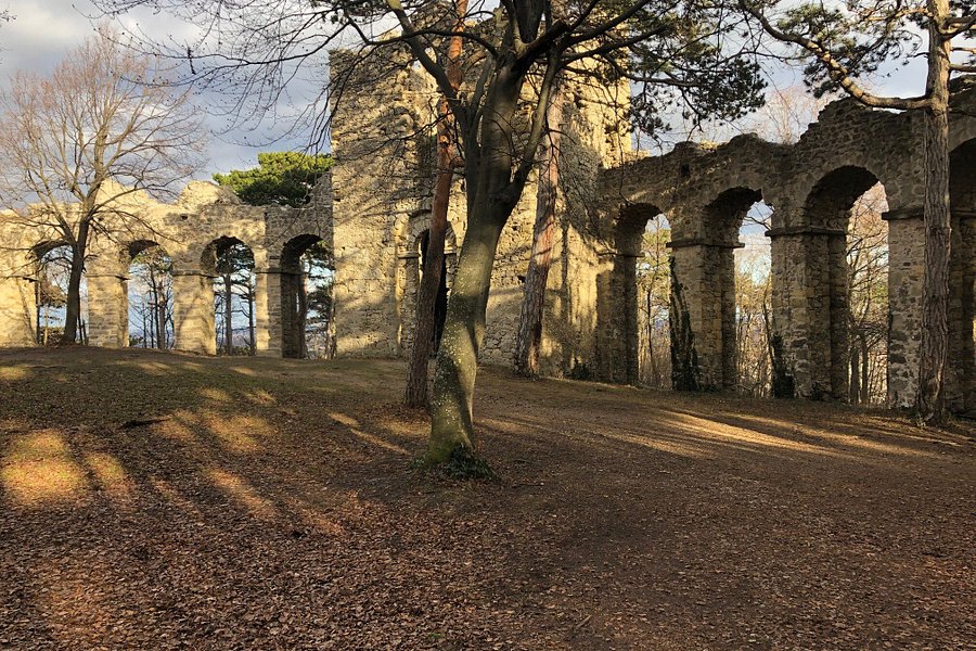 Amphitheater - Künstliche Ruine im Föhrenwald am Kalenderberg image