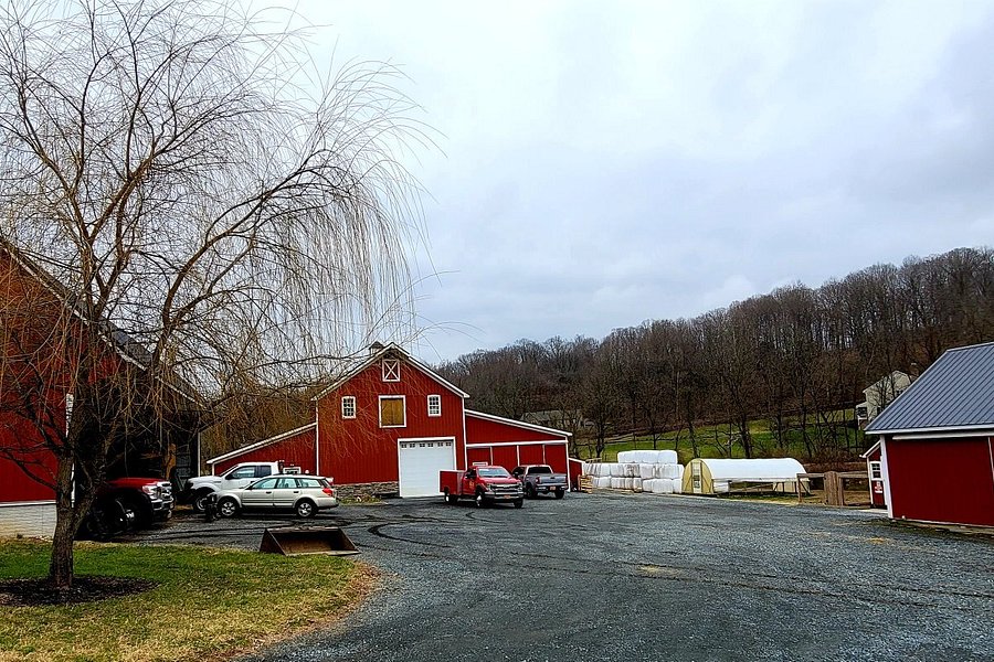 Willow Valley Farm image