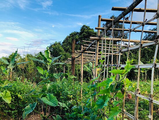 Đak Nong Eco Farm image