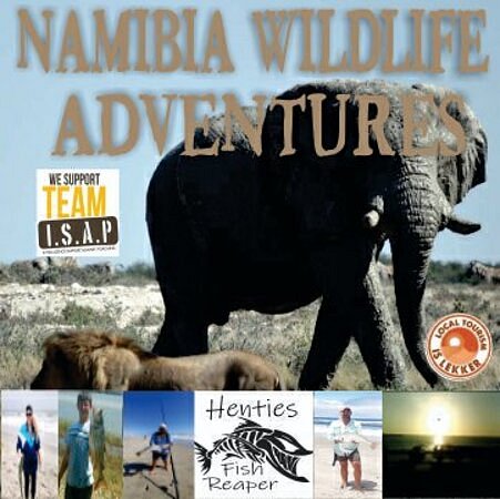 Wildlife Adventures Tours & Safari's Namibia image