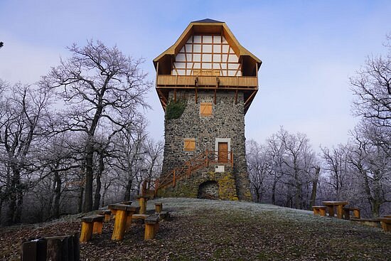 Sasbérc Lokout Tower image