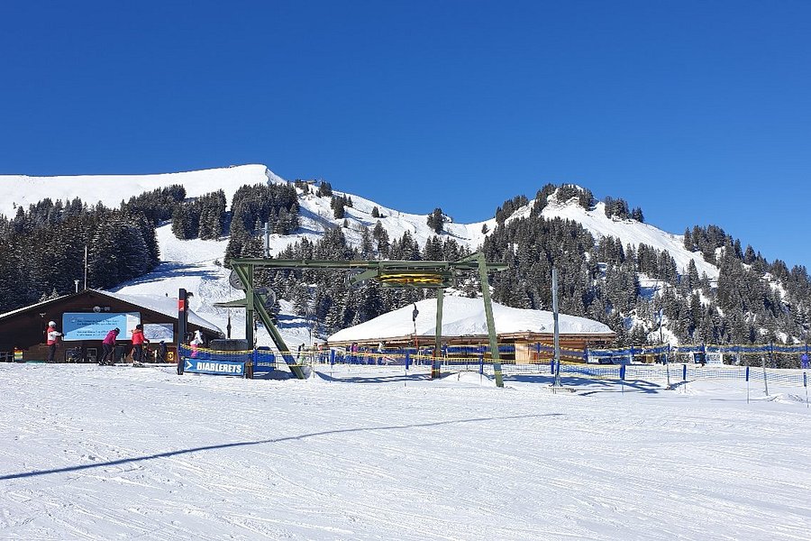 Ecole Suisse de Ski de Gryon image